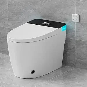 Toilet with Elongated Heated Seat, Auto Flush