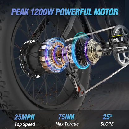 Q20 Lite Electric Bike1200W 48V 15Ah 20*4 Inch Fat Tire E bike Mechanical Disc Brakes Electric Bicycle MTB
