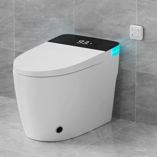 Toilet with Elongated Heated Seat, Auto Flush
