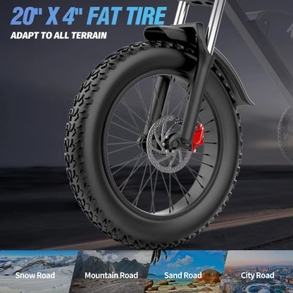Q20 Lite Electric Bike1200W 48V 15Ah 20*4 Inch Fat Tire E bike Mechanical Disc Brakes Electric Bicycle MTB