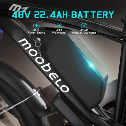 2000W Dual-Motor E-Bike 48V 22.4ah Fat Tires Full Suspension